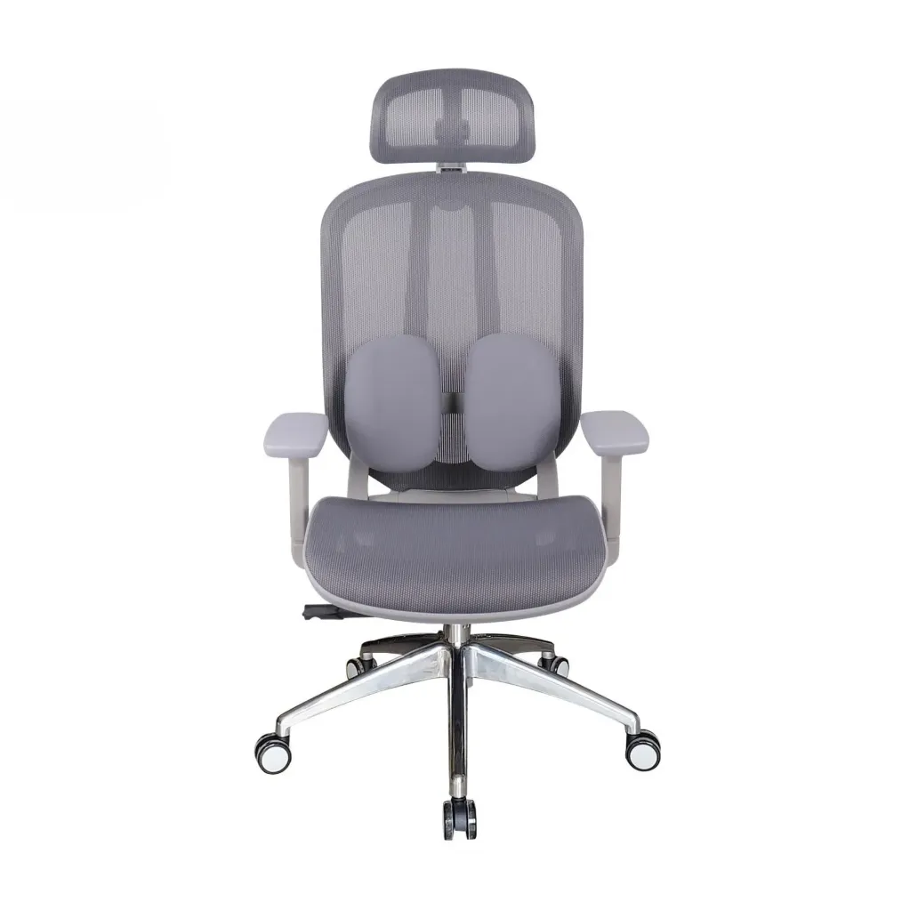 Ghế Công Thái Học The One | GLE04-1