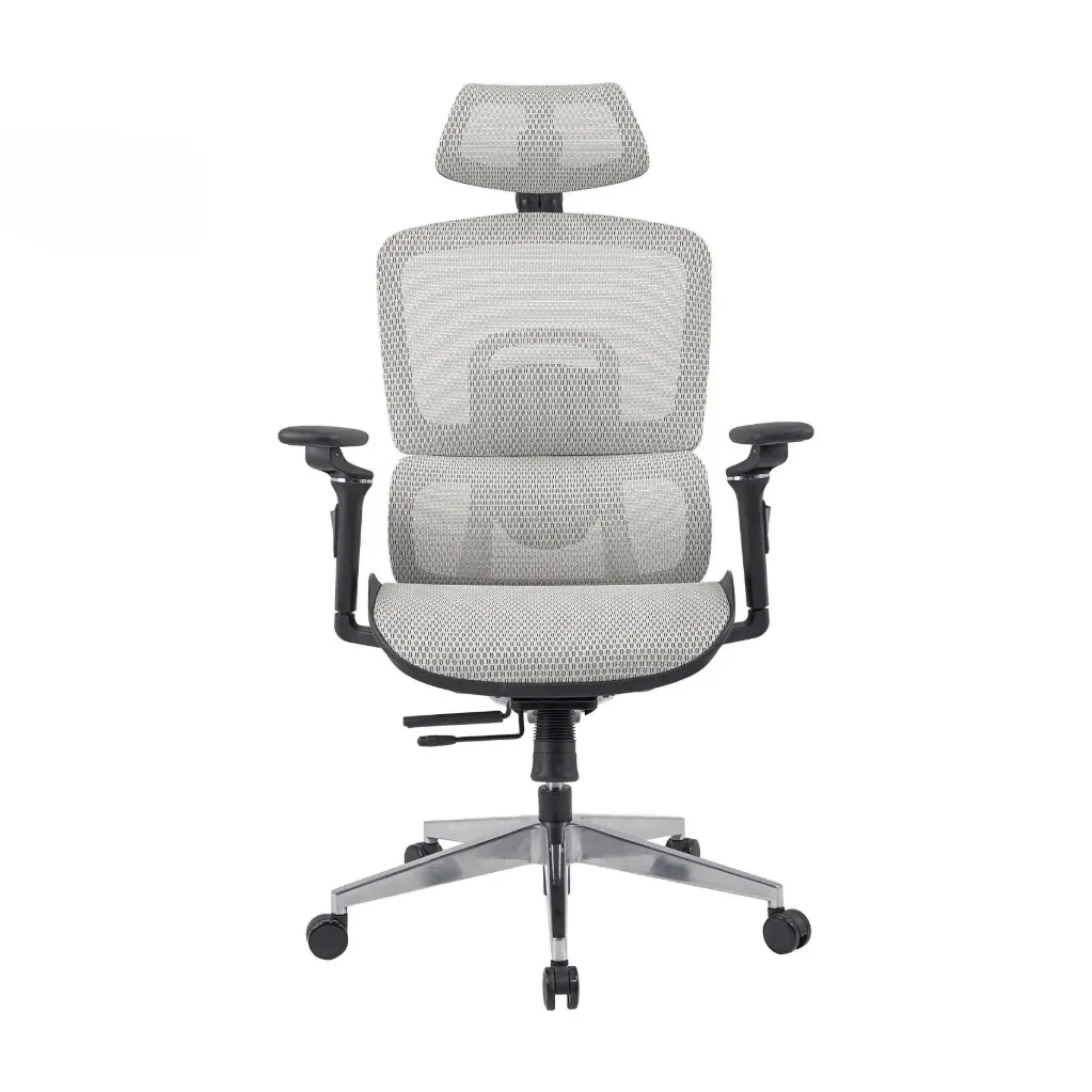 Ghế Công Thái Học The One | GLE12