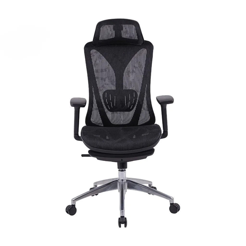 Ghế Công Thái Học The One | GLE15