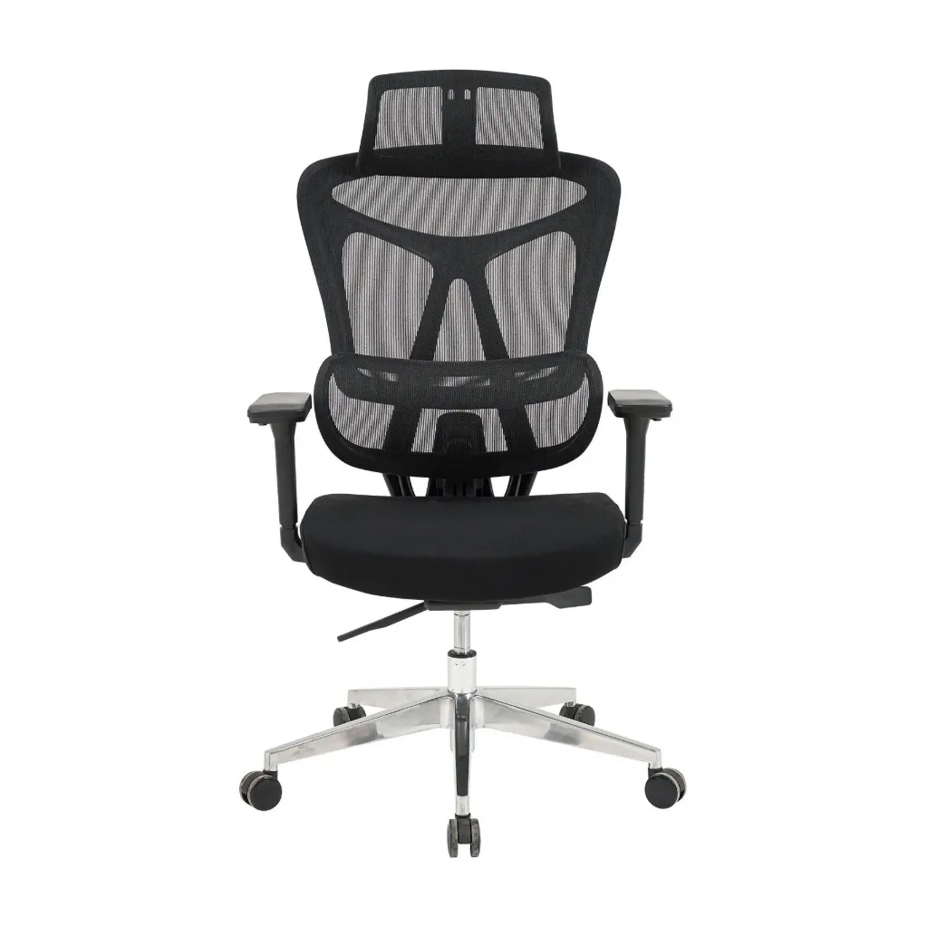 Ghế Công Thái Học The One | GLE18