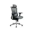 Ghế Công Thái Học The One | GLE20