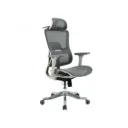 Ghế Công Thái Học The One | GLE20