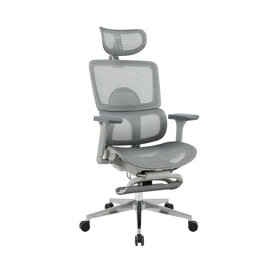 Ghế Công Thái Học The One | GLE21