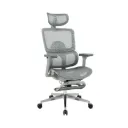 Ghế Công Thái Học The One | GLE21