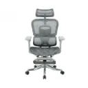 Ghế Công Thái Học The One | GLE22