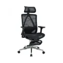 Ghế Công Thái Học The One | GLE23