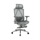 Ghế Công Thái Học The One | GLE23