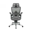 Ghế Công Thái Học The One | GLE24