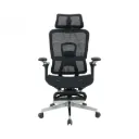 Ghế Công Thái Học The One | GLE25